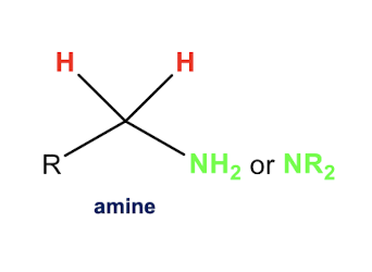 <p>Amine formation </p>
