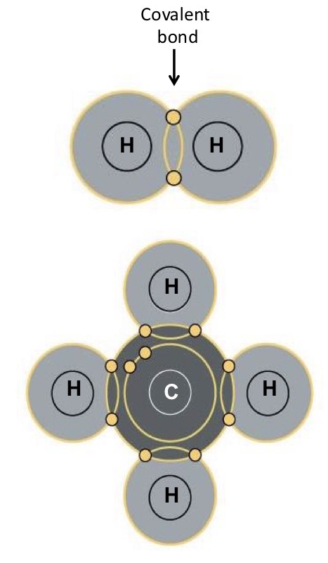 <p>What kind of molecules are molecular hydrogen (H2) and methane (CH4)?</p><p>Hydrogen (H) has an electronegativity of ~2.1</p><p>Carbon (C) has an electronegativity of ~2.5</p>
