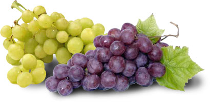 <p>grape  - grapes</p>