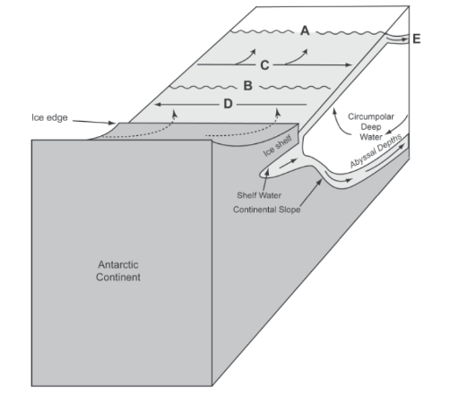 <p>in the diagram of antarctic ocean fronts (labels a-e, showing ice shelf, ice edge, circumpolar deep water, abyssal depths, shelf water, continental slope), label b is: a) the antarctic divergence b) the antarctic convergence c) the antarctic coastal current (acoc) d) the antarctic circumpolar current (acc)</p>