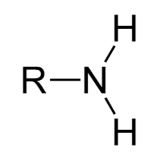 <p>Amino Group</p>