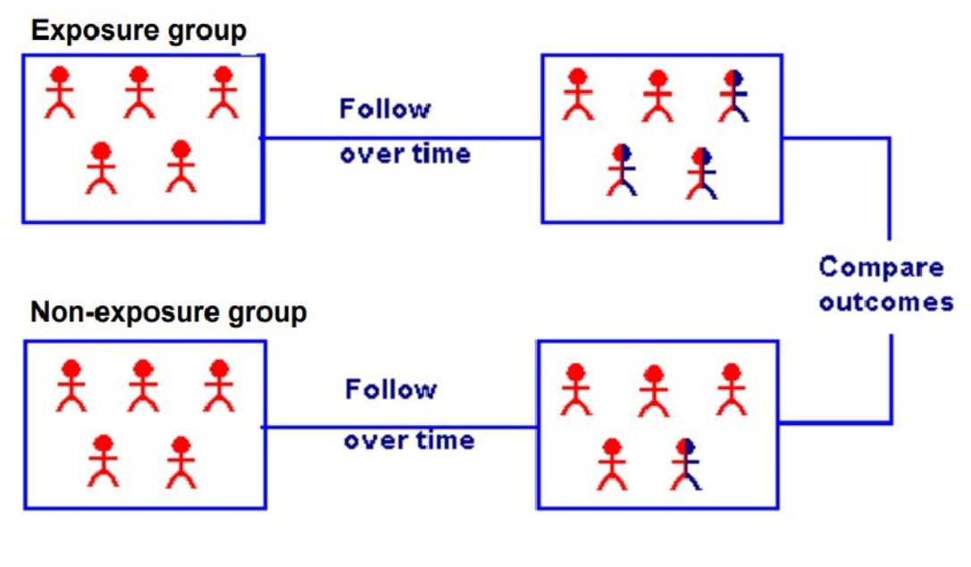 <ul><li><p>select/classify subjects based on the status of exposure</p></li><li><p>follow over time to compare incidence of disease between the exposed and non-exposed </p></li></ul><p></p>