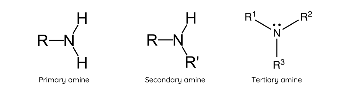 <p><span><strong>Amine</strong></span></p>