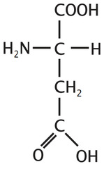<p>negatively charged, acidic</p>