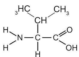 <p>What is this amino acid and its codon?</p>