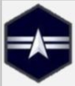 <p>USSF Enlisted Ranks</p>