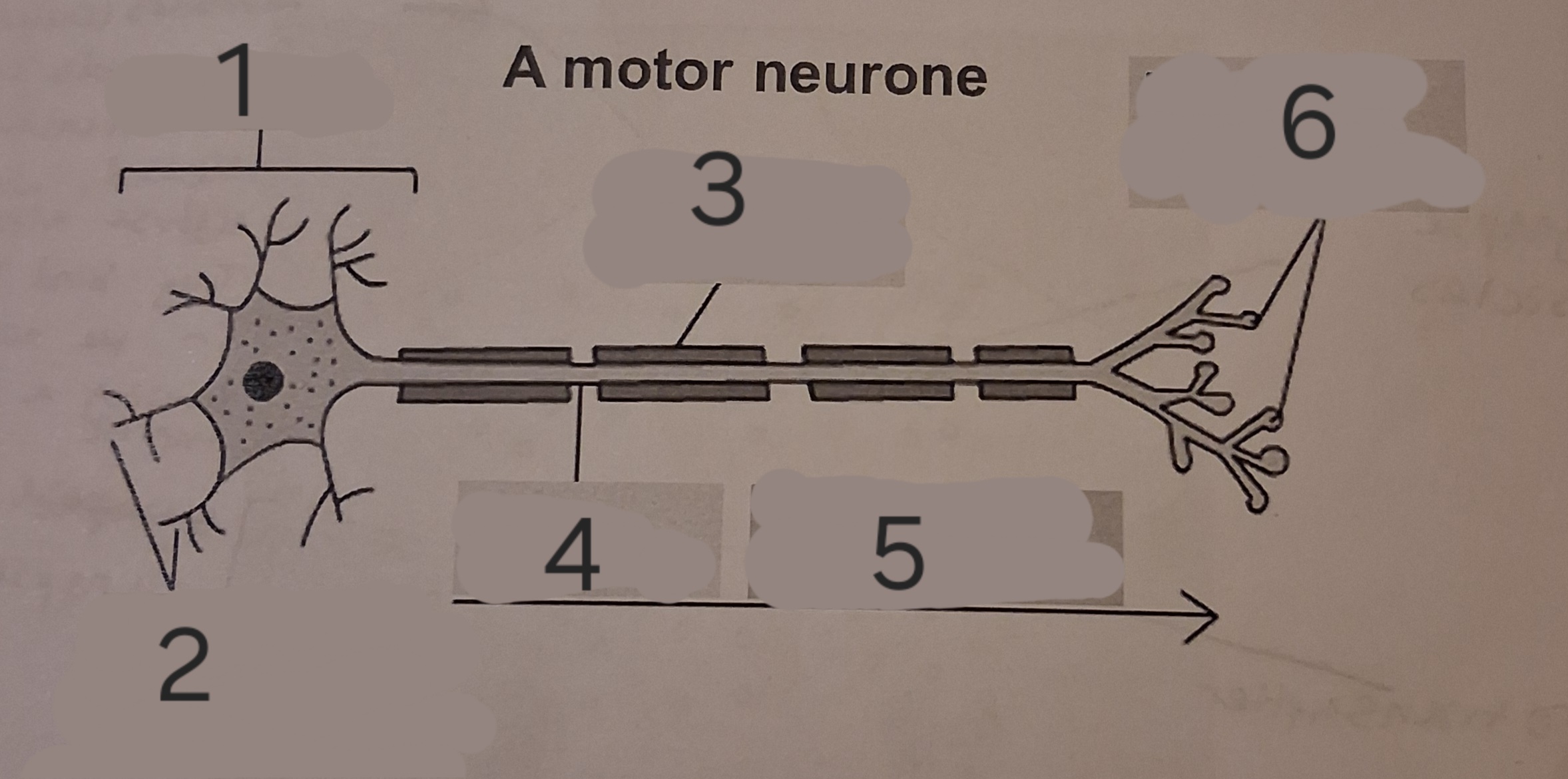 <p>Label the diagram</p>