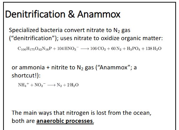 <p>-ammonia and nitrite → N<sub>2 </sub>gas (“anammox”; a shortcut)</p><p>-both are anaerobic processes</p>
