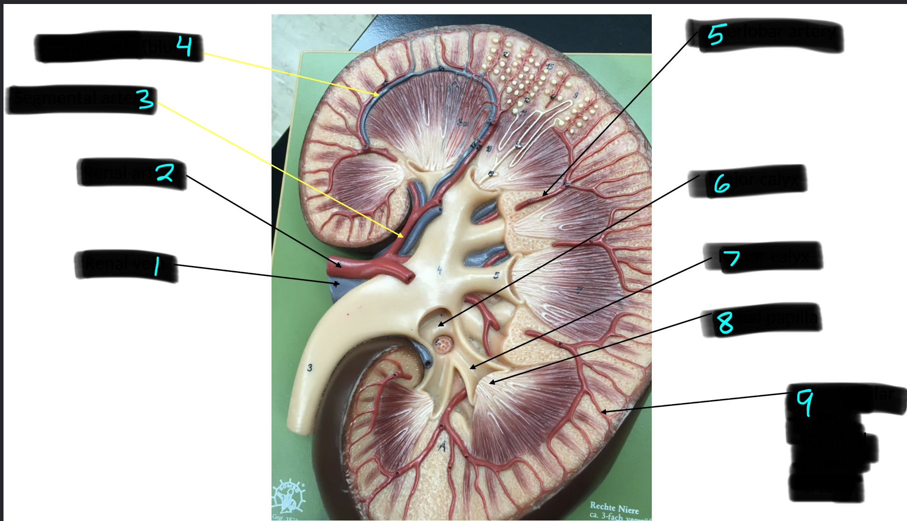 <p>8</p>