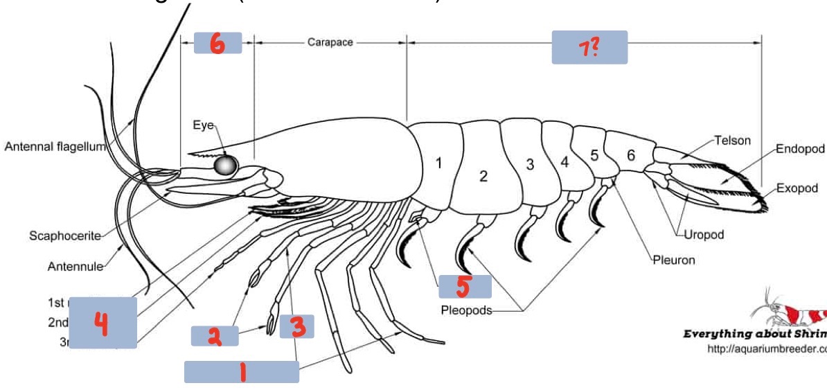 <p>4?</p>
