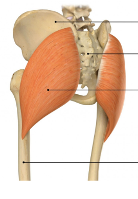 <p>Name &amp; origin</p>