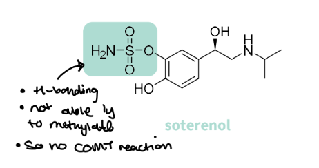 <p><strong>soterenol</strong></p><ul><li><p>Initial lead drug</p></li><li><p>Long-acting and selective</p></li><li><p>Sulfonamide used to replace phenol, still able to H-bond, not able to methylate - no comt</p></li></ul><p>Not used clinically due to the side effects </p>