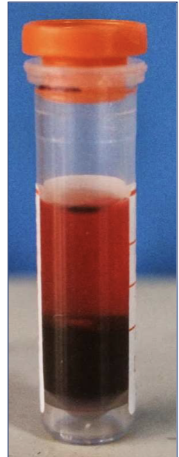 <p>What is this? </p>