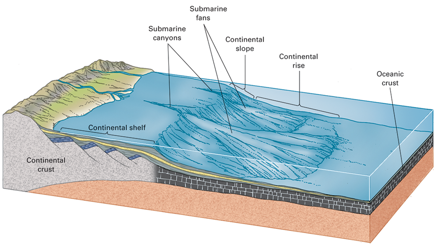 <p>what is happening in this picture?</p>