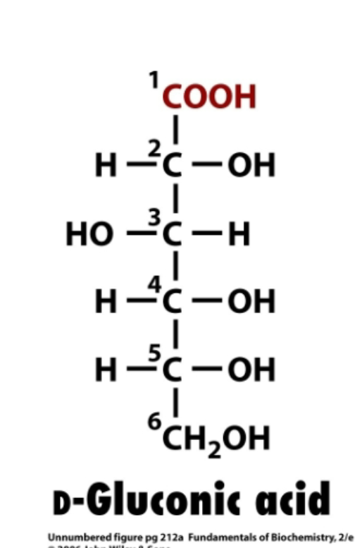 <p>alehyde (top, c1, COH) oxidized to carboxylic acid (COOH)</p>