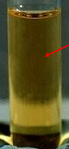 <p>test and result</p>