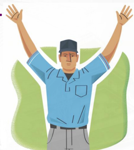 <p>baseball softball</p>