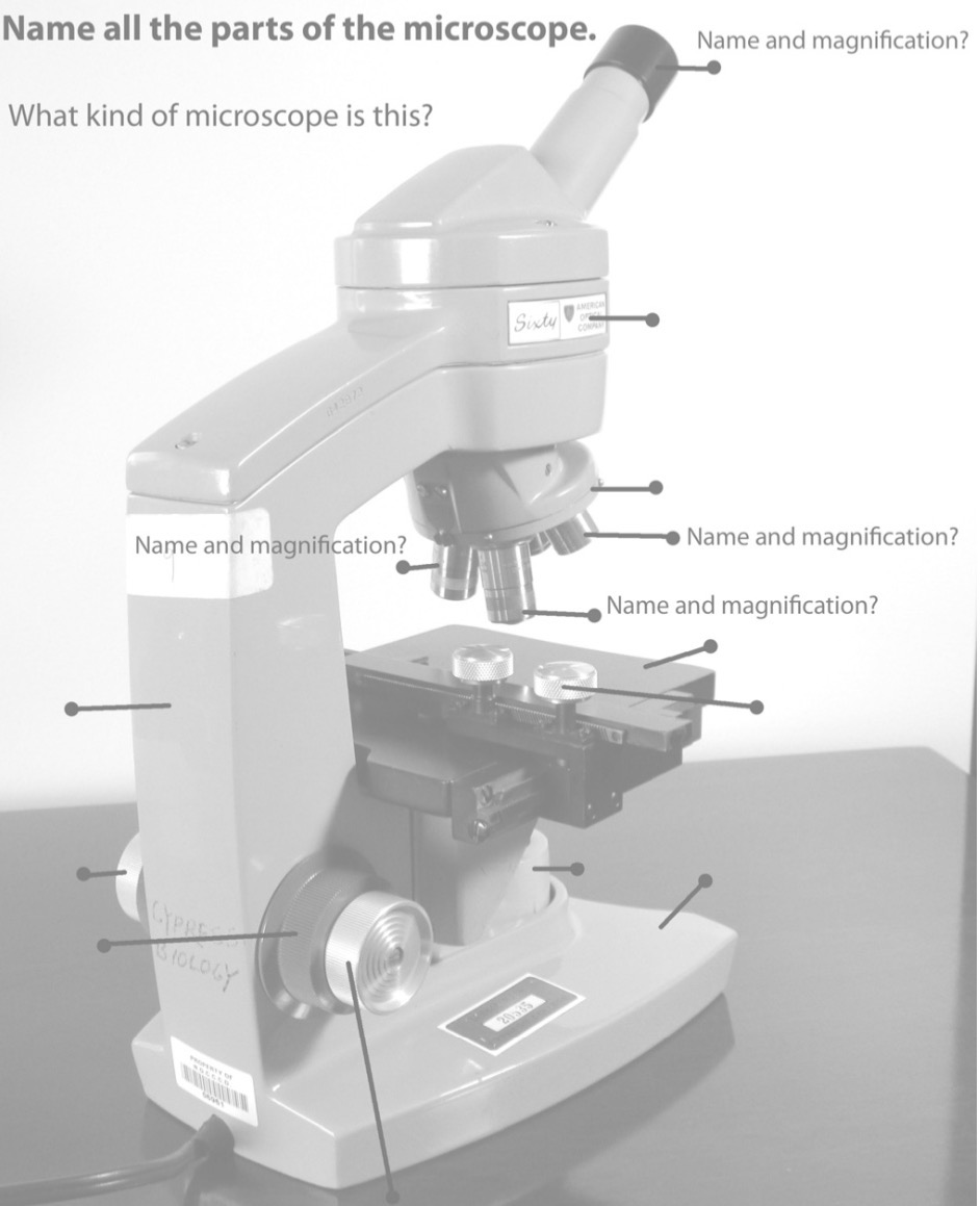 <p>Name the parts of the microscope.</p>