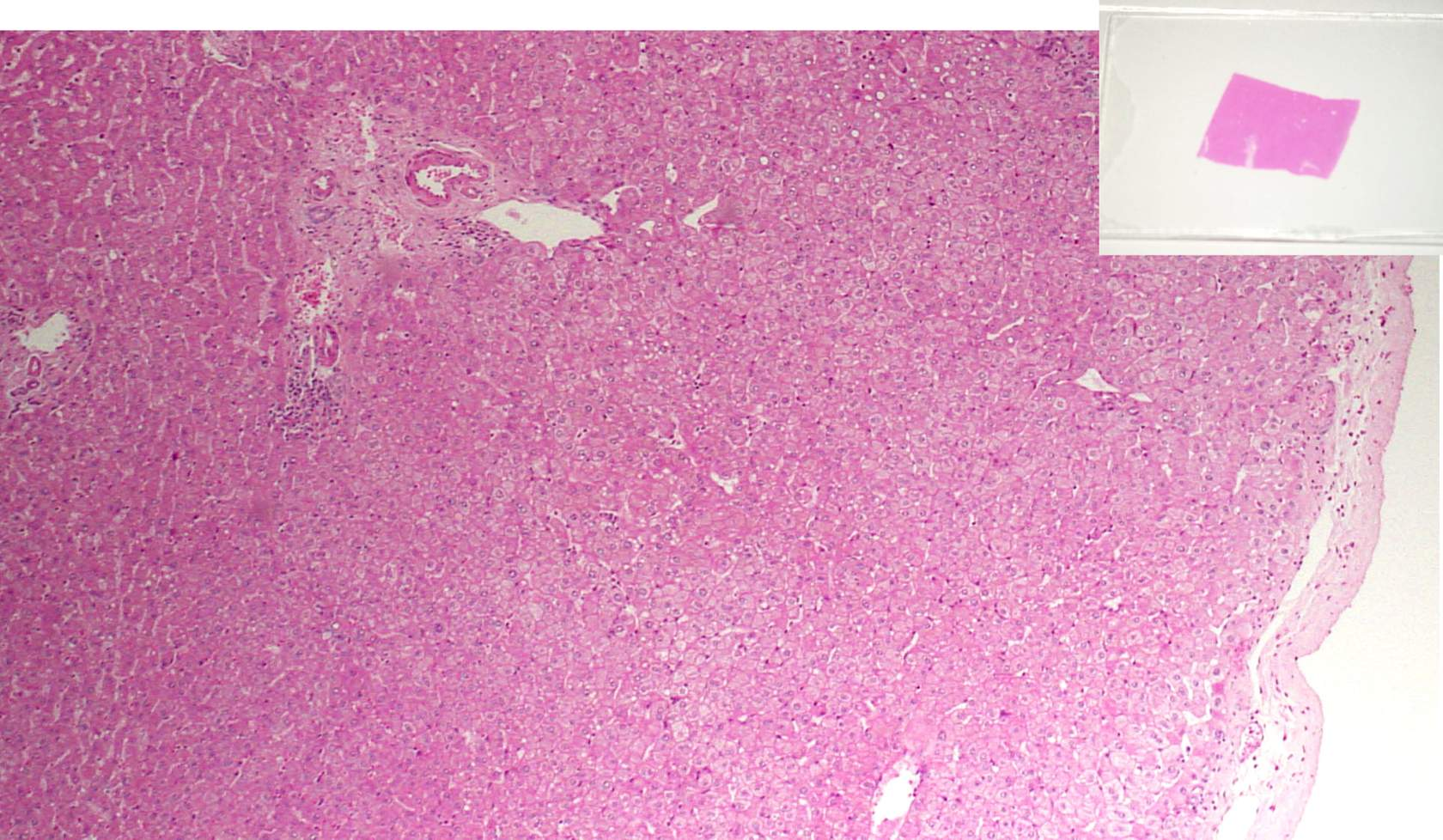 <p>What is this and how do we know?</p>