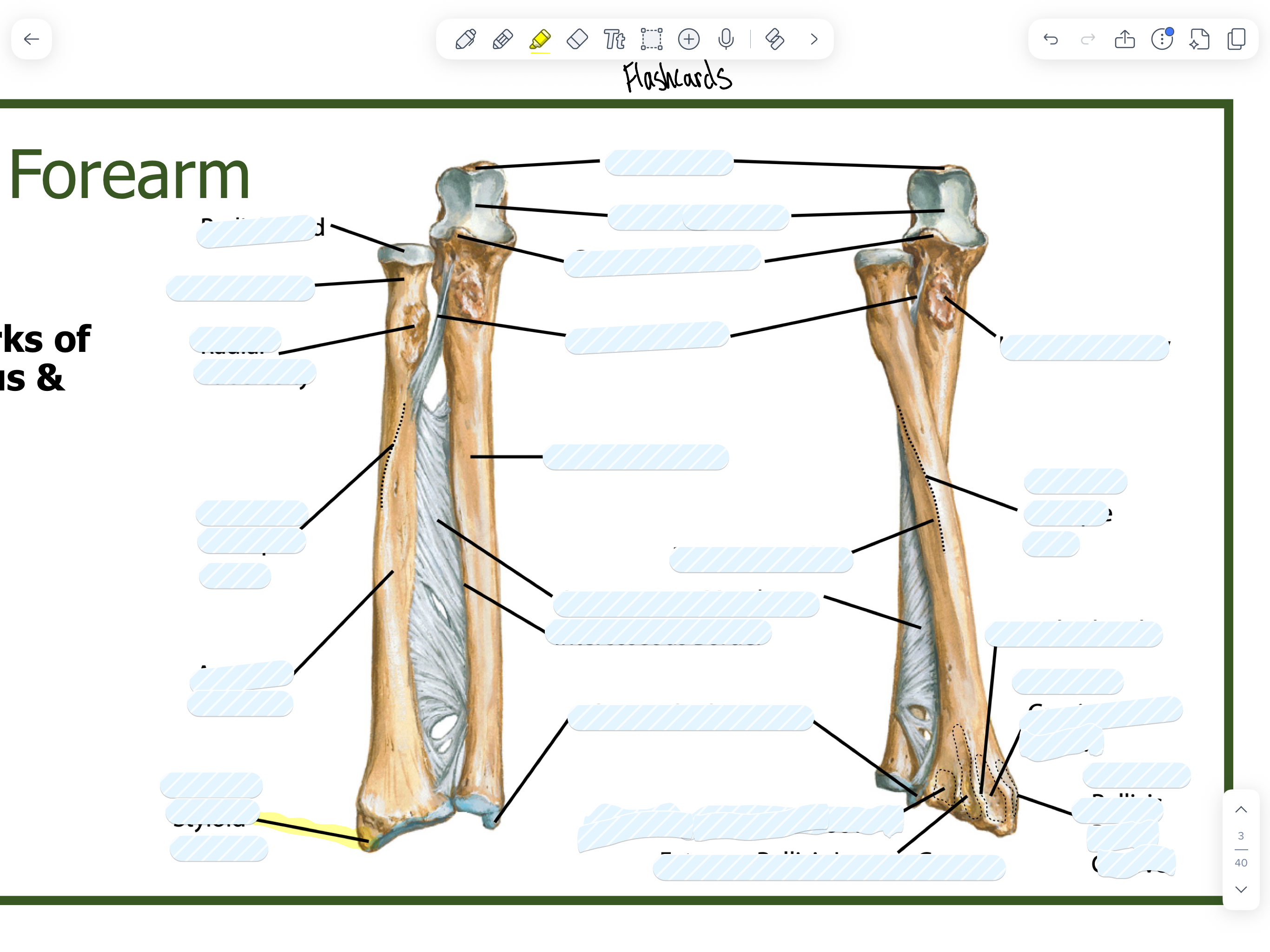 knowt flashcard image