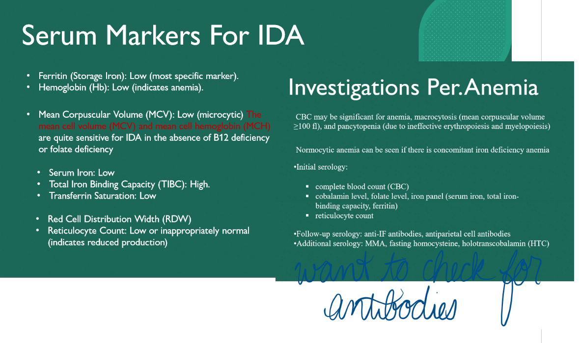 <p>Macrocytosis </p>