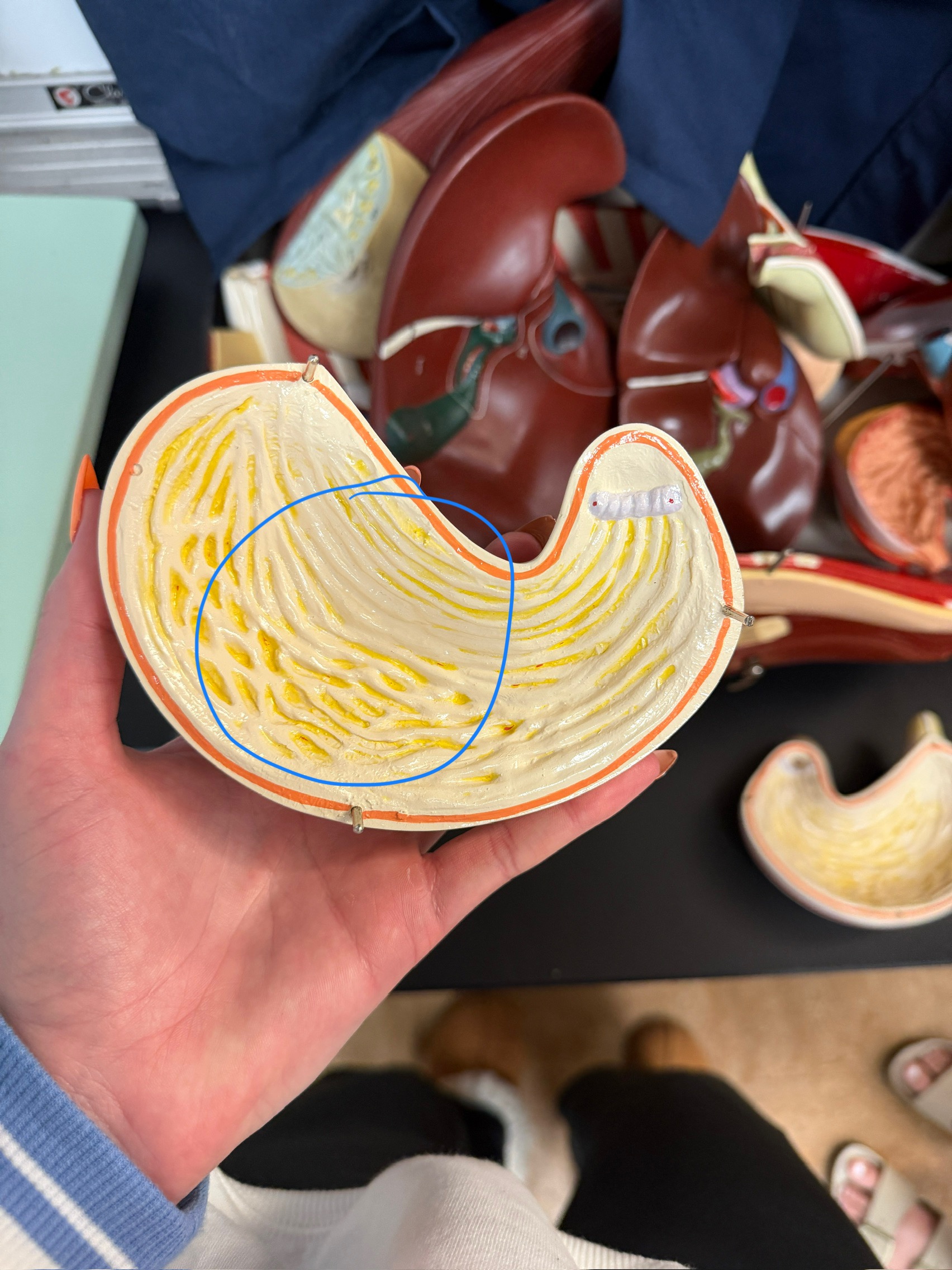 <p>name this structure</p>