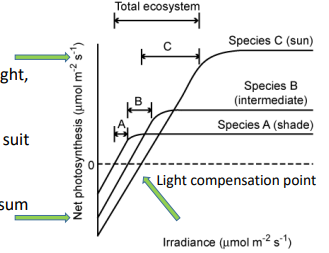<p>Growth-limiting factors: #1. Light?</p>