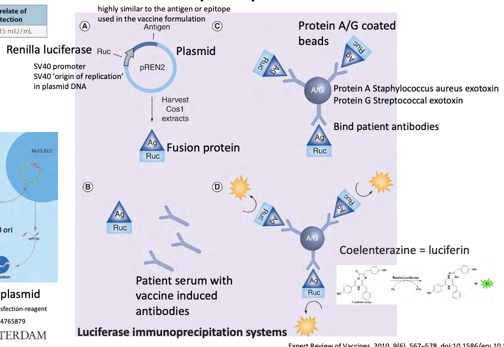 <p><span>laboratory technique for the small-scale affinity purification of specific antigens (proteins or other biomolecules) from complex cell or tissue lysates</span></p>