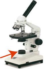 <p>part of the microscope that controls the amount of light to the object being viewed</p>