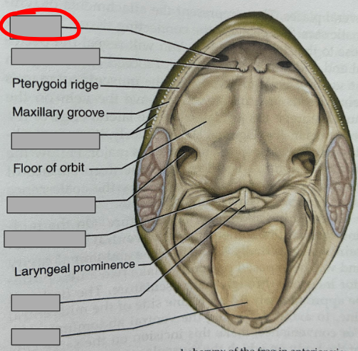 <p>What part of the organism is this?</p>