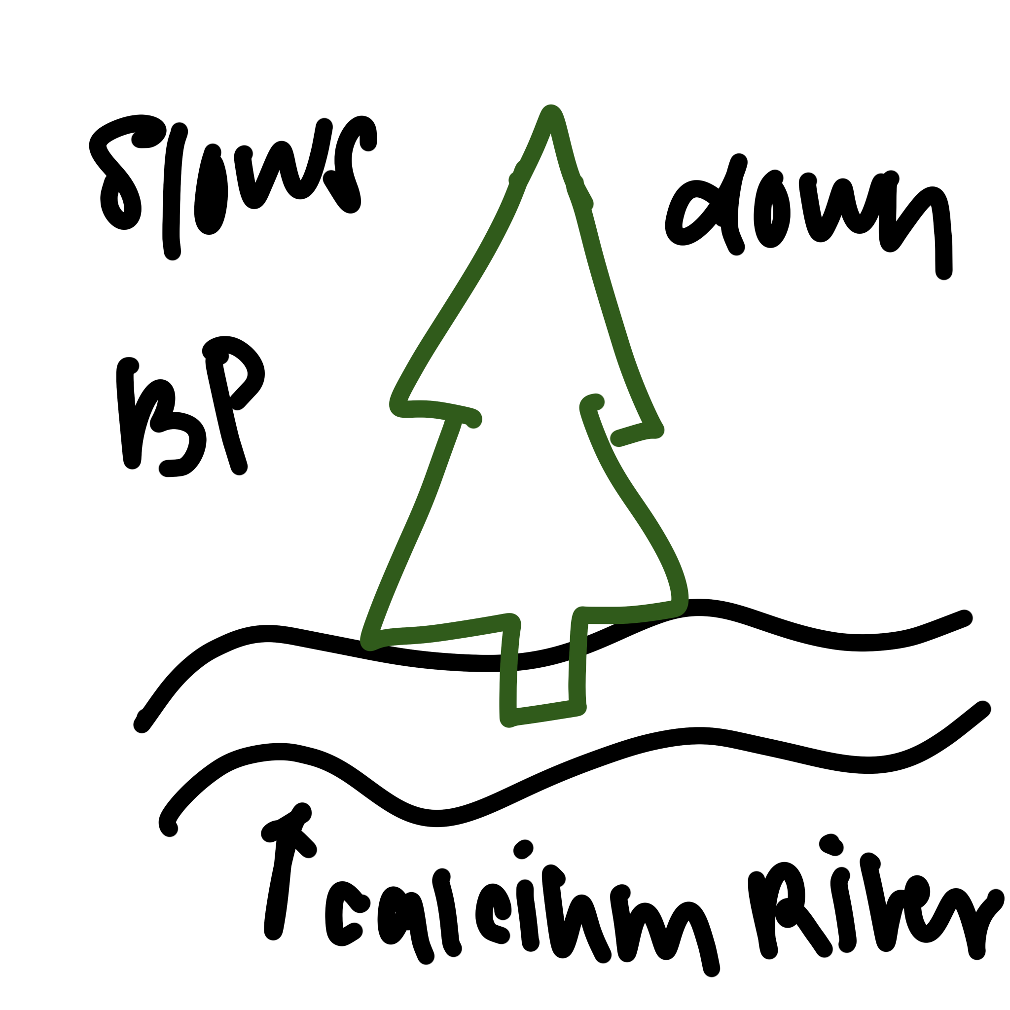 <p>Calcium channel blocker — lowers BP, can cause ankle swelling. Pine in the calcium river</p>