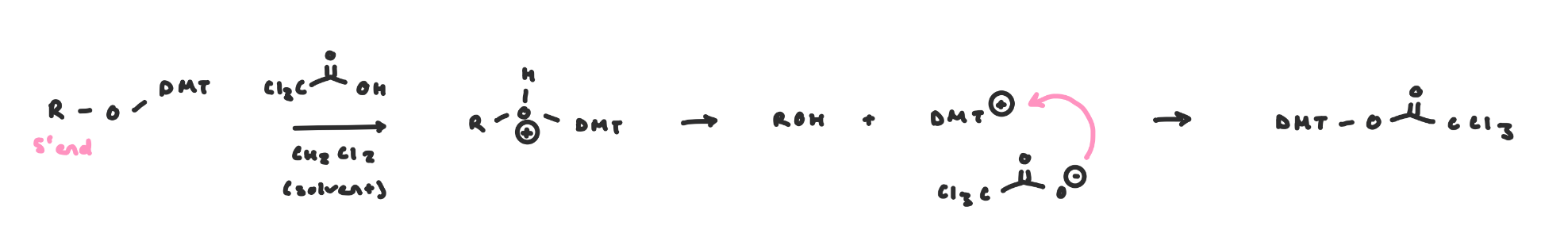 <ul><li><p><span style="background-color: transparent;">Before coupling to the next nucleoside, the DMT group must be removed.&nbsp;</span></p><ul><li><p><span style="background-color: transparent;">Use trichloroacetic acid, which proceeds via SN1 mechanism</span></p></li><li><p><span style="background-color: transparent;">These conditions don’t affect the other PGs, the phosphate triesters or the linkage to the CPG resin</span></p></li></ul></li></ul><p></p>