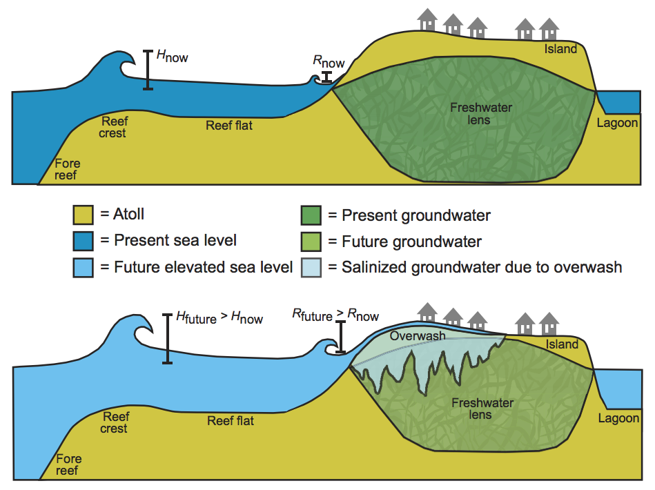 <p><strong>Low- lying coastal land</strong></p>