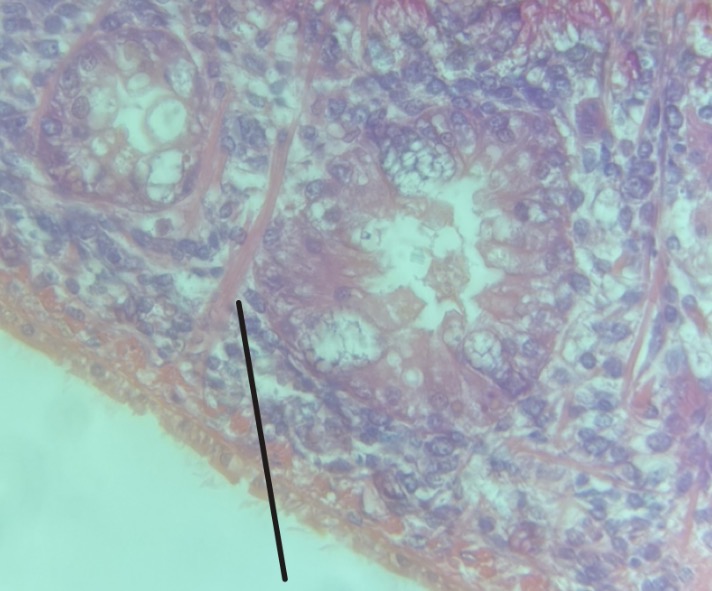 <p>What is this structure </p>