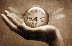 <p>Ça veut dire "qui est de passage, temporaire"</p>