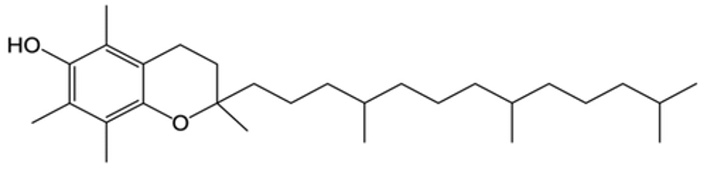 <p>Antioxidant that protects cell membranes from damage.</p>