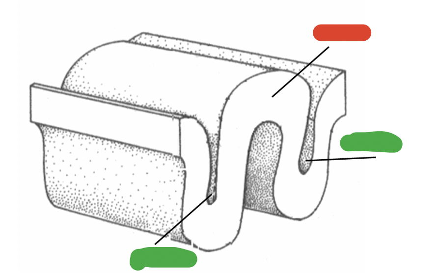 <p>what is the correct name for the green? what is the correct name for the red?</p>