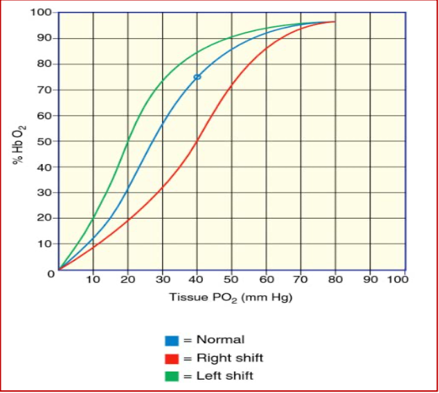 <p>measurement of Hb’s affinity for oxygen</p><ul><li><p>oxygen affinity is expressed as p50, where 50% of Hb is saturated with oxygen</p></li><li><p>in an avg human, p50 = 26 mmHg</p></li></ul><p><strong>measure the Hb-O2 saturation vs the partial pressure of oxygen = oxygen dissociation curve (ODC)</strong></p><p>beginning of the curve</p><ul><li><p>fully staurated Hb molecule containing full oxygen with a high oxygen lvl tension</p></li><li><p>as it travels, it releases oxygen to the surrounding tissues that need oxygen</p></li></ul><p></p>