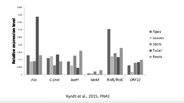 <p><strong>What is the main point of this graph?</strong><br></p>