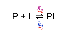 <p>where ka = rate constant for forward (binding)</p><p>kd = rate constant for backward (releasing)</p>