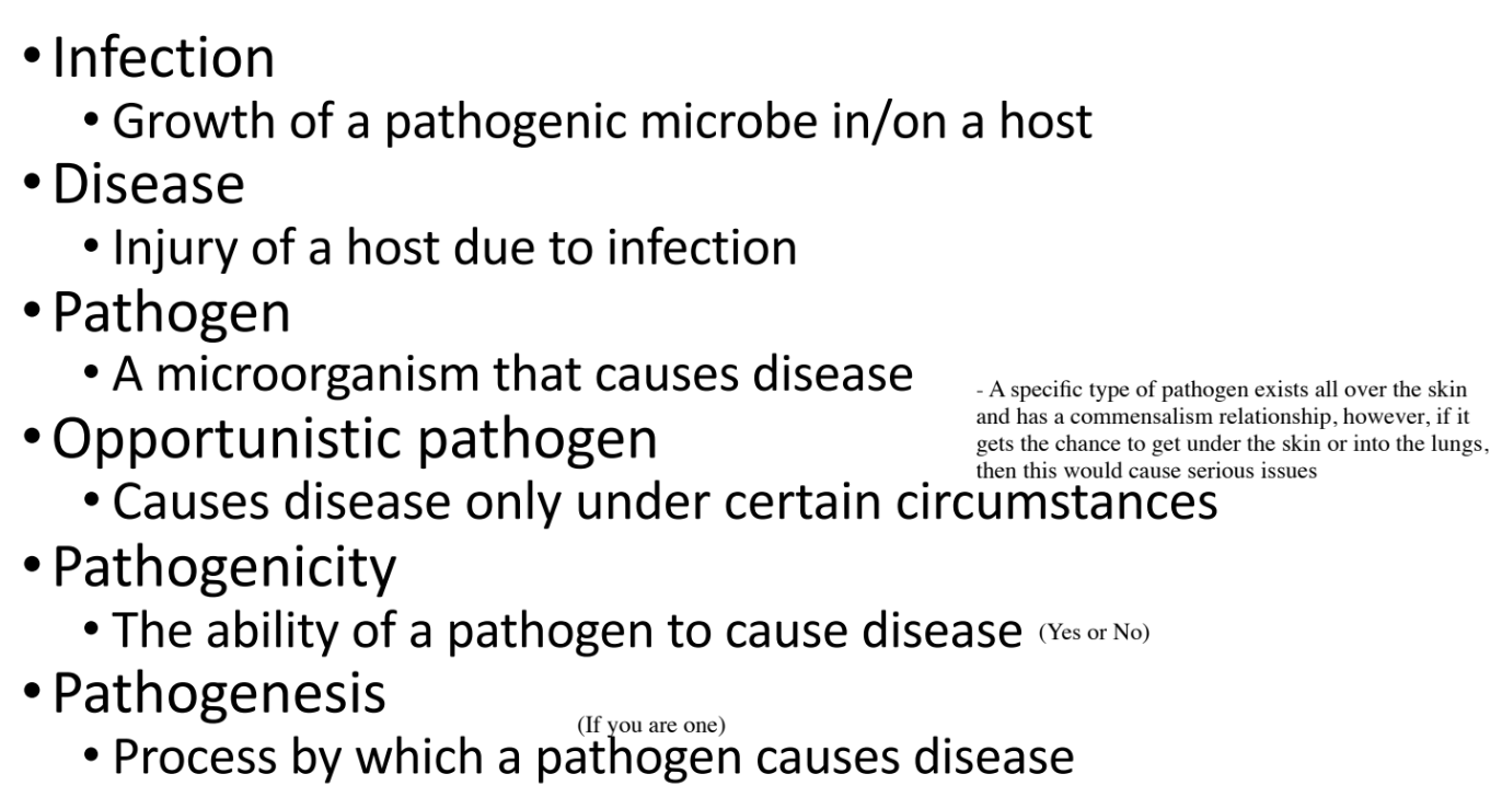<p>Define Infection, Disease, Pathogen, Opportunistic Pathogen, Pathogenicity, Pathogenesis, Virulence, and Virulence Factors (8)</p>
