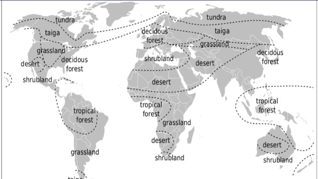 <p>Humid and warm with<strong> peak diversity</strong></p>