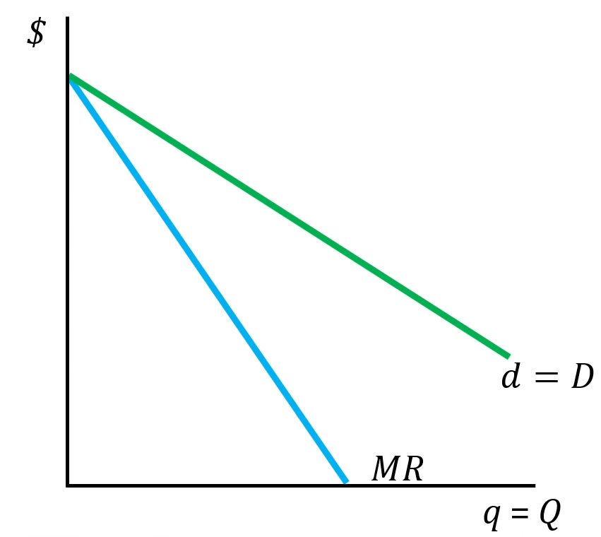 <ul><li><p>Because a monopoly serves the whole market, its individual product demand (d) is equal to the total market demand (D). Similarly, since it is the only firm, the monopoly’s quantity (q) is the same as the total market quantity (Q)</p></li><li><p>We know from units 9 and 10 that marginal revenue for firms with market power is always less than the price they charge.</p></li></ul><p></p>