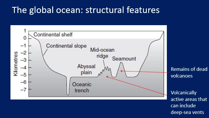 <ul><li><p><strong>oxygen </strong>is high near the surface but declines quite rapidly because oxygen is already low and diffusion is slow to replace oxygen used by the high levels of respiration</p></li><li><p>this increases again because there are lower respiratory demands at lower depths</p></li></ul><p></p><ul><li><p><strong>temperature </strong>also rapidly declines in a <strong>thermocline</strong></p></li><li><p>this is because there is a shallow surface layer of warm water, which is <strong>less dense</strong> and <strong>floats</strong></p></li><li><p>there isn’t much <strong>vertical mixing </strong>between water of different densities, so the gradient is initially <strong>steep</strong>, then plateaus</p></li><li><p>this thermocline is stable year-round for tropical oceans, because the sun is always creating the warm shallow surface layer that prevents nutrient mixing</p></li></ul><p></p>