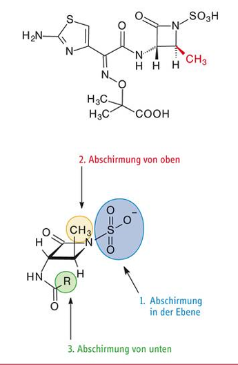<p>Monabactame: </p>