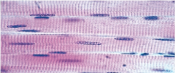 <p>Slide 43</p>