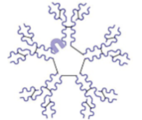 <ul><li><p><span style="background-color: transparent;">The first antibody produced during primary response</span></p></li><li><p><span style="background-color: transparent;">Indicates current infection</span></p></li><li><p><span style="background-color: transparent;">Strong activator of complement</span></p></li><li><p><span style="background-color: transparent;">Exists as pentamer in plasma</span></p></li></ul><p></p>