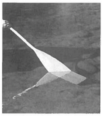 <p>A change in the direction of a light wave due to a change in its speed as it passes from one medium to another. </p>