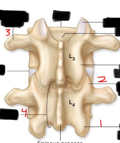 <p>2</p>
