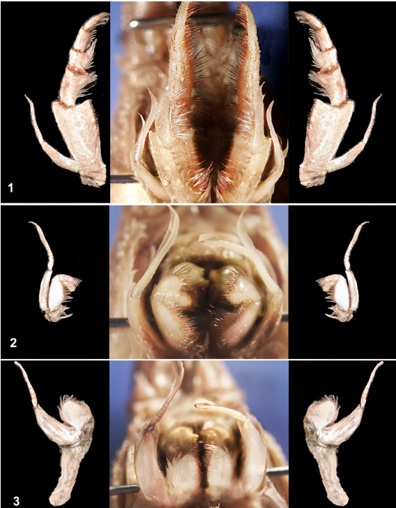 <p>taxa</p><p>label numbers</p>